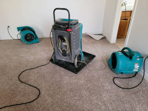 Best Flood restoration services  in Vancleave, MS