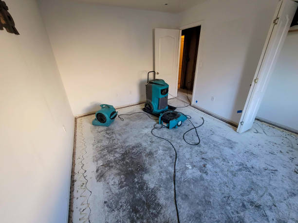  Vancleave, MS Water damage restoration Pros