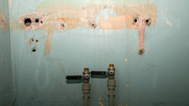 Best Ceiling water damage repair  in Vancleave, MS