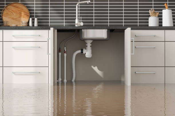 Best Carpet water damage restoration  in Vancleave, MS